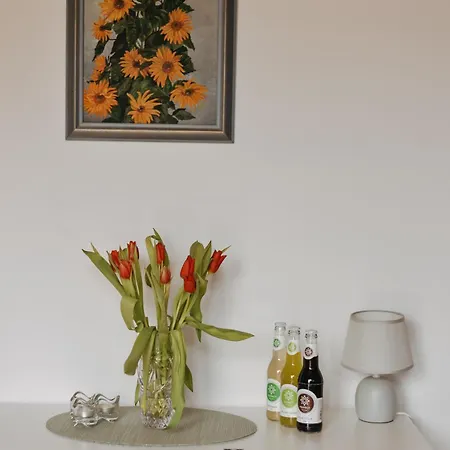 17 Lägenhet Wiezyca